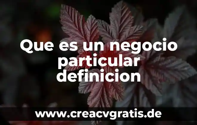 Que es unidad de negocio ejemplo 3 Que es un negocio particular definicion