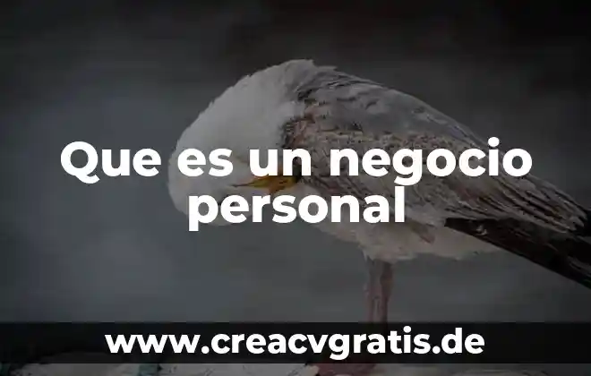 Que es unidad de negocio ejemplo 4 Que es un negocio personal