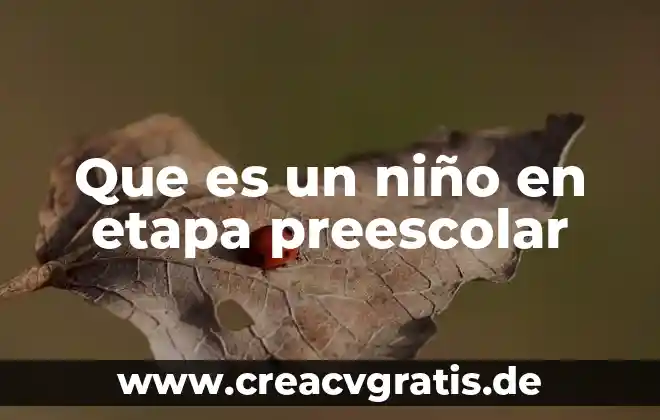 Que es el ejercicio progresivo de los derechos del niño 7 Que es un niño en etapa preescolar