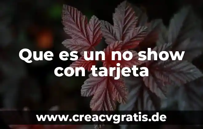 Que es concepto significado 7 Que es un no show con tarjeta