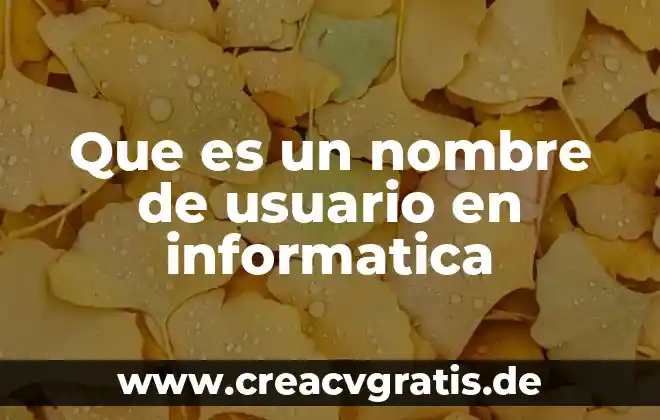 Qué es un autómata programable 7 Que es un nombre de usuario en informatica