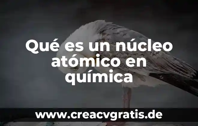 Qué es microcoulomb en química 8 Qué es un núcleo atómico en química