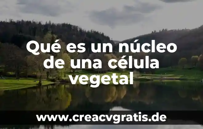Reino animal vegetal que es 8 Qué es un núcleo de una célula vegetal