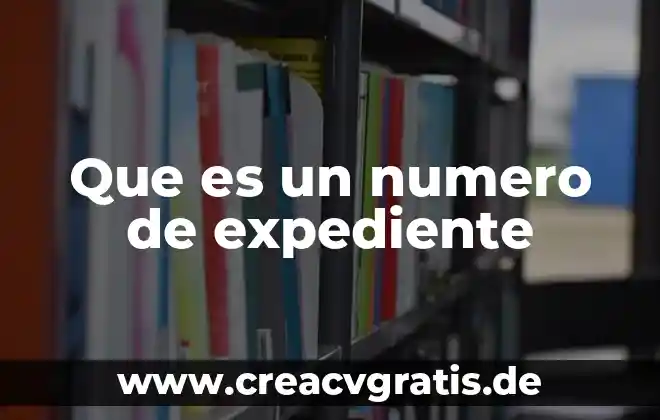 Qué es un número real y cómo se clasifican 6 Que es un numero de expediente