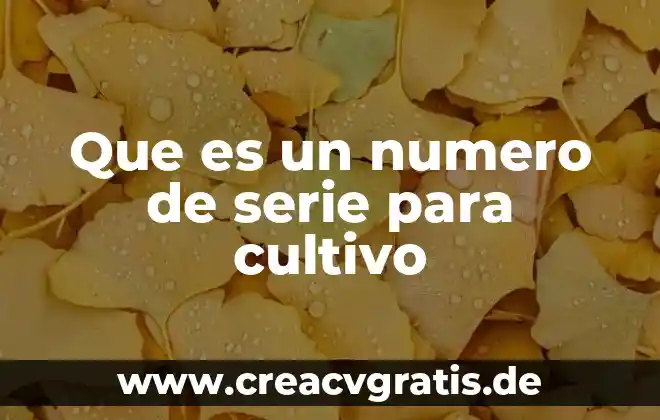 Qué es el número de IFE o INE vigente 3 Que es un numero de serie para cultivo