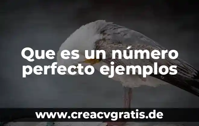 Qué es la anorexia tipos 4 Que es un número perfecto ejemplos