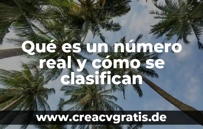 Qué es el número de secuencia inicial en TCP 3 Qué es un número real y cómo se clasifican