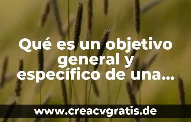 Que es problema especifico ubicacion curricular en la practica docente 7 Qué es un objetivo general y específico de una tortillería