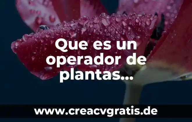 Para que es bueno el agua de jengibre y canela 3 Que es un operador de plantas petroquimicas