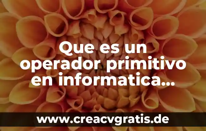 Que es el valor primitivo en java 8 Que es un operador primitivo en informatica ejemplos