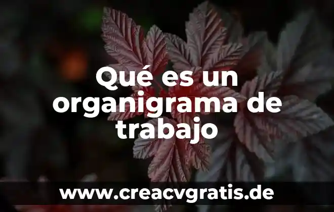 Que es una division de trabajo 4 Qué es un organigrama de trabajo