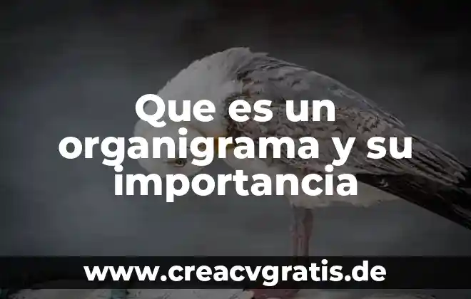 Definamos lo que es el honor y su importancia 6 Que es un organigrama y su importancia