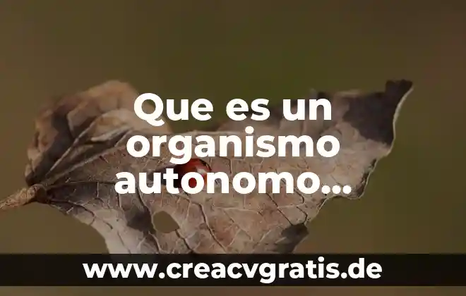 Qué es una sita y los tipos de sitas 7 Que es un organismo autonomo constitucional