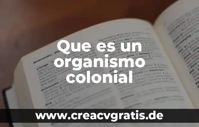 Que es administracion colonial 3 Que es un organismo colonial
