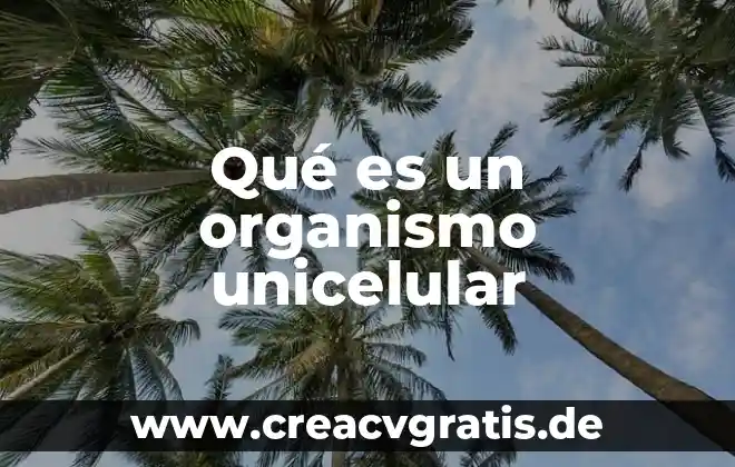Qué es una organismo extranjeros 7 Qué es un organismo unicelular
