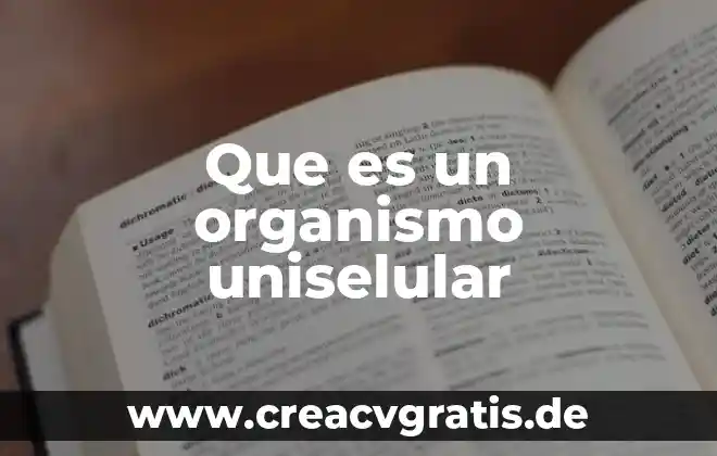 Qué es una organismo extranjeros 8 Que es un organismo uniselular