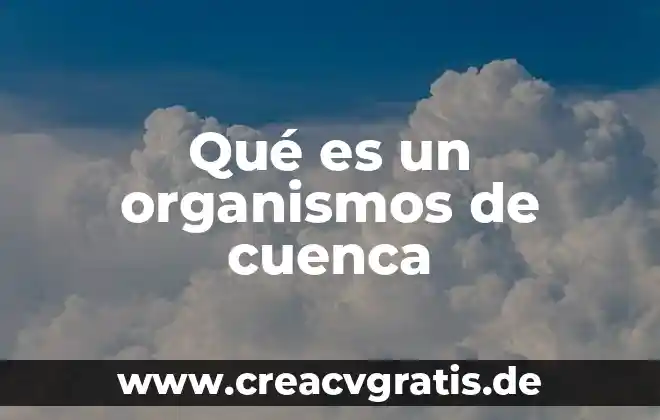 Que es una cuenca de agua 7 Qué es un organismos de cuenca