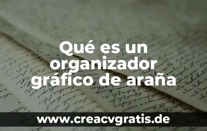 Qué es la araña más peligrosa del mundo 6 Qué es un organizador gráfico de araña