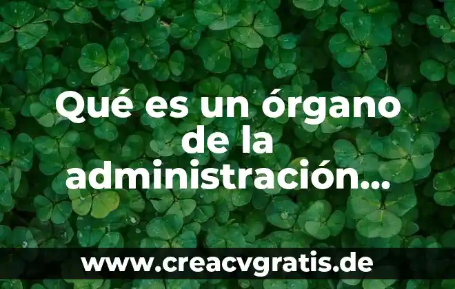 Que es la cuenta pública municipal 2019 6 Qué es un órgano de la administración pública