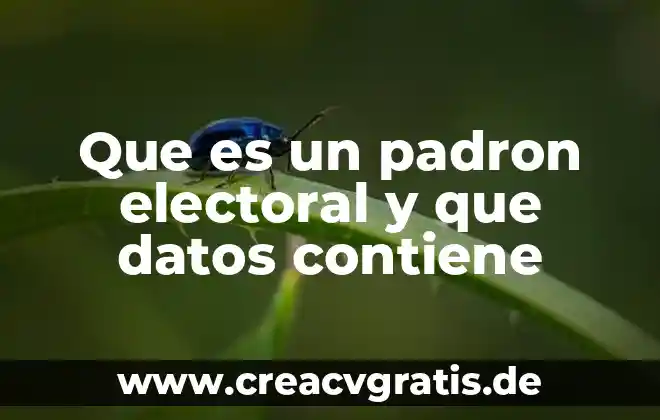 Que es lo que contiene un altar y que significado 7 Que es un padron electoral y que datos contiene