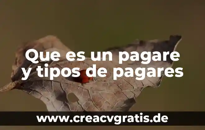 Que es mas efectivo cheque o pagare 4 Que es un pagare y tipos de pagares