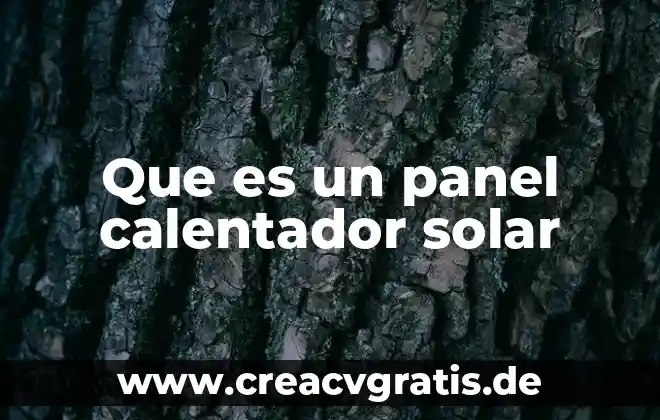 Que es un panel y sus elementos 4 Que es un panel calentador solar