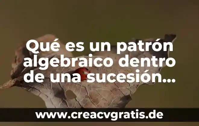 Que es la escala grafica numerica 3 Qué es un patrón algebraico dentro de una sucesión numérica