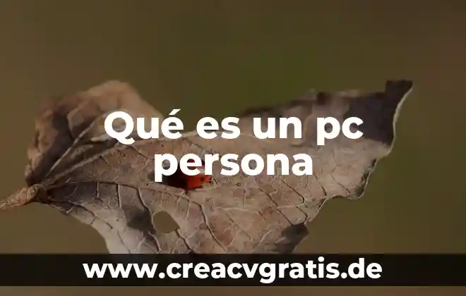 Que es el zodiaco de una persona 8 Qué es un pc persona