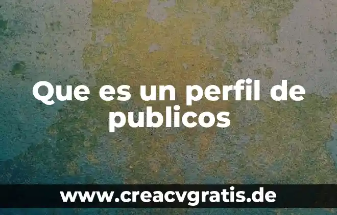Que es analizar y evaluar programas publicos 6 Que es un perfil de publicos