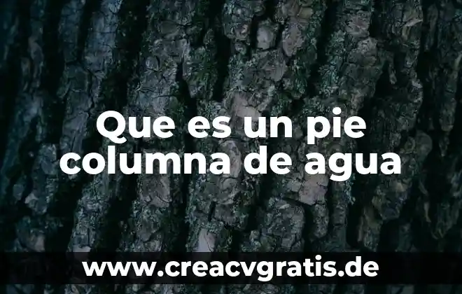 Qué es séquito significado 7 Que es un pie columna de agua