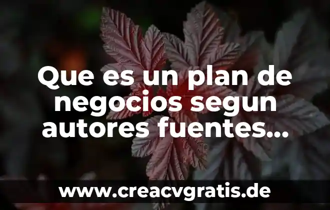 Que es concepto de negocios y antecedentes 3 Que es un plan de negocios segun autores fuentes recientes