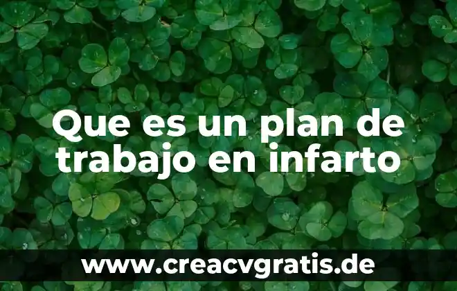 Que es plan gurmet 3 Que es un plan de trabajo en infarto