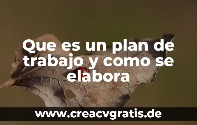 Que es plan gurmet 5 Que es un plan de trabajo y como se elabora