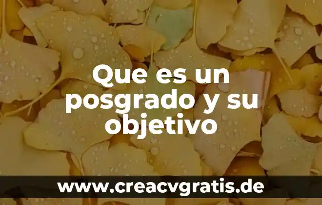 Que es la audiencia objetivo 4 Que es un posgrado y su objetivo