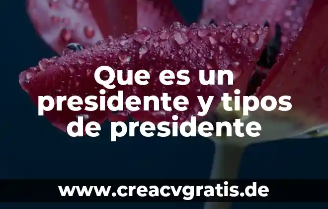 Clema que es y tipos 5 Que es un presidente y tipos de presidente