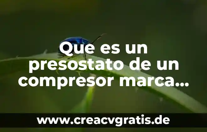 Que es una cuenta de marca en google 4 Que es un presostato de un compresor marca shamal