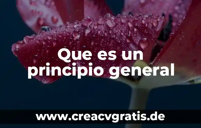 Qué es la electricidad general electricidad 3 Que es un principio general