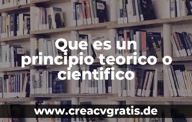 Que es el derecho mercantil principio de autonomia 8 Que es un principio teorico o cientifico
