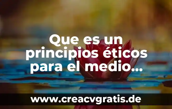 Que es el significado de principios éticos 8 Que es un principios éticos para el medio ambiente