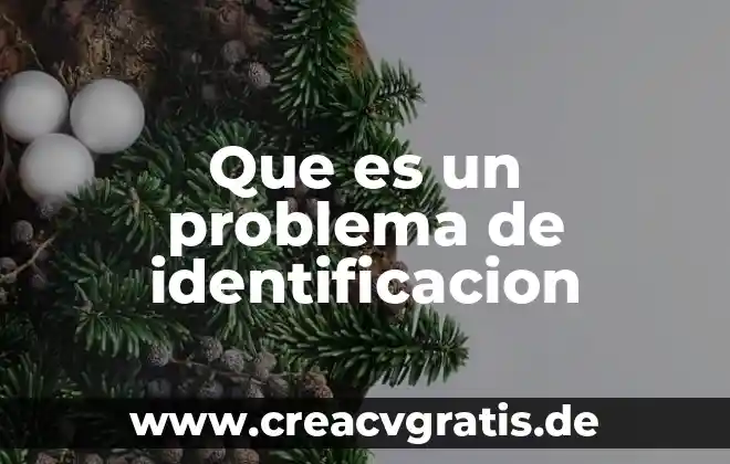 Qué es el número nacional de identificación 5 Que es un problema de identificacion