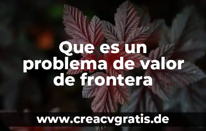 Que es presteza como valor 6 Que es un problema de valor de frontera