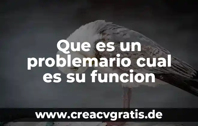 Que es nanotecnologia y cual es significado 6 Que es un problemario cual es su funcion