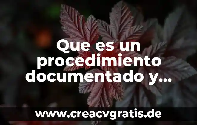 Que es un epitalamio y un ejemplo 8 Que es un procedimiento documentado y ejemplo