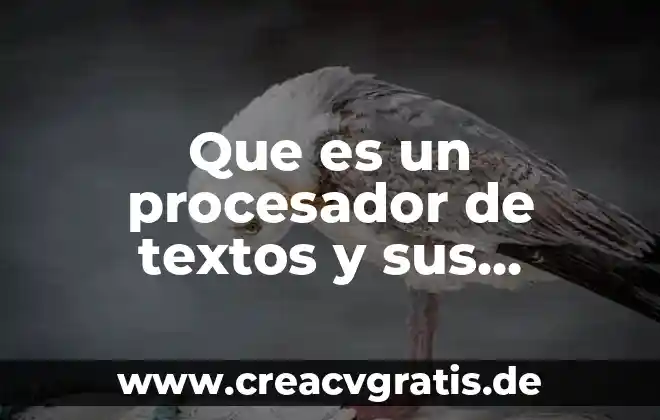 Qué es el sol y sus características principales 5 Que es un procesador de textos y sus principales funciones