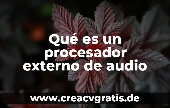 Qué es derecho externo público 6 Qué es un procesador externo de audio