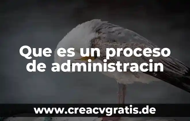 Que es proceso de conciencia 6 Que es un proceso de administracin