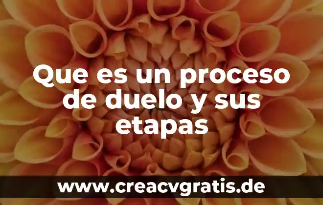 Que es etapas de crecimiento del ser humano 3 Que es un proceso de duelo y sus etapas
