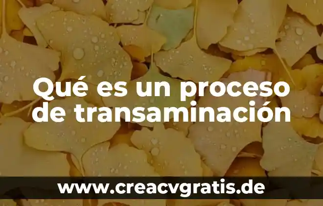 Que es proceso de conciencia 3 Qué es un proceso de transaminación