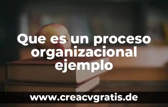 Que es un proceso de emplazamiento 7 Que es un proceso organizacional ejemplo