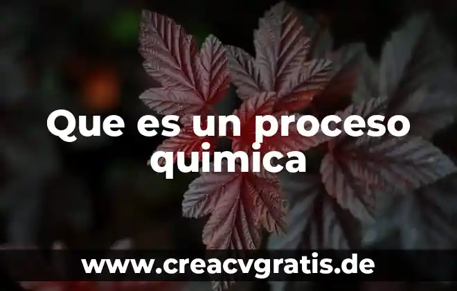 Que es el hepta quimica 6 Que es un proceso quimica